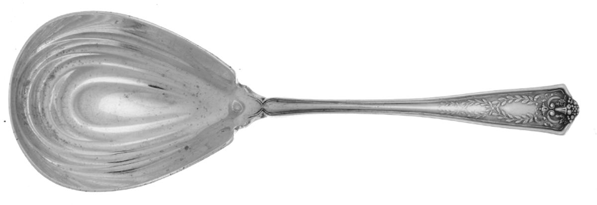 Winthrop (Sterling, 1909) Tea Caddy Spoon by Tiffany & CO SILVER-1