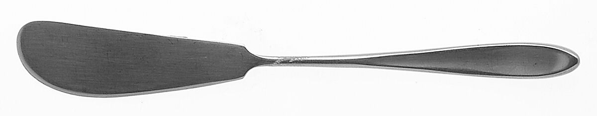 Cirque (Stainless) Flat Handle Butter Spreader by Towle Silver-1