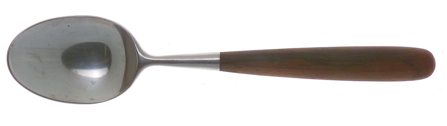 Palisander (Stainless) Teaspoon by Towle Silver-1