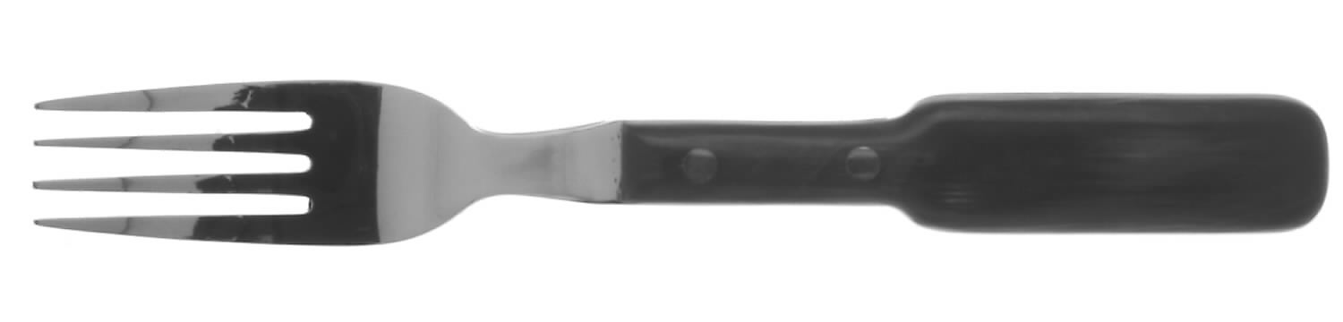 Woodbury (Stainless, Wood Handle) Fork by Towle Silver-1