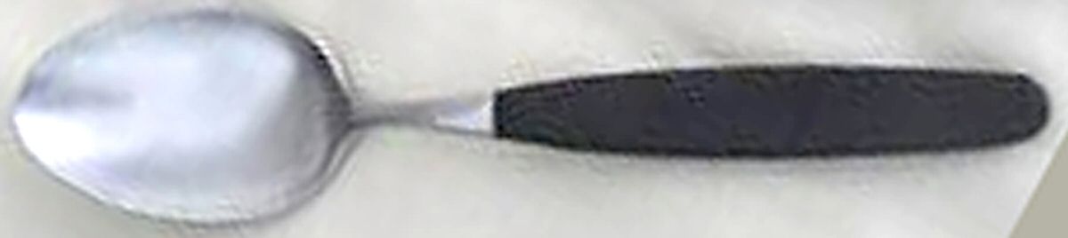 TWS417 (Stainless) Place/Oval Soup Spoon by Towle Silver-1