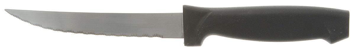 Ariel-Satin (Stainless) Plastic Handle Individual Steak Knife by Towle Silver-1