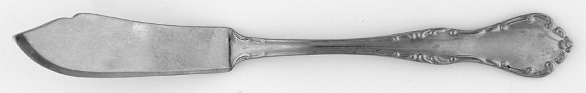 Queen's Court (Stainless) Flat Handle Master Butter Knife by Unknown Mfg Silver-1