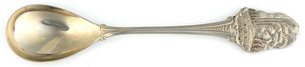 States & Cities Souvenir Spoons(Slvp) Wyoming Egg Spoon by Unknown Mfg Silver-1
