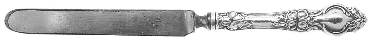 Violet (Sterling, 1904, No Monograms) Youth/Tea Knife with Silverplate Blade by Wallace Silver-1