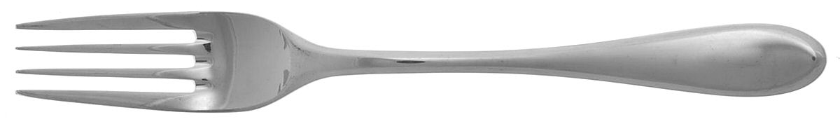 Skagen (Stainless) Individual Salad Fork by Wilkens-1