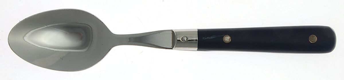 Carnival-Slate Blue Place/Oval Soup Spoon by Wesley-1