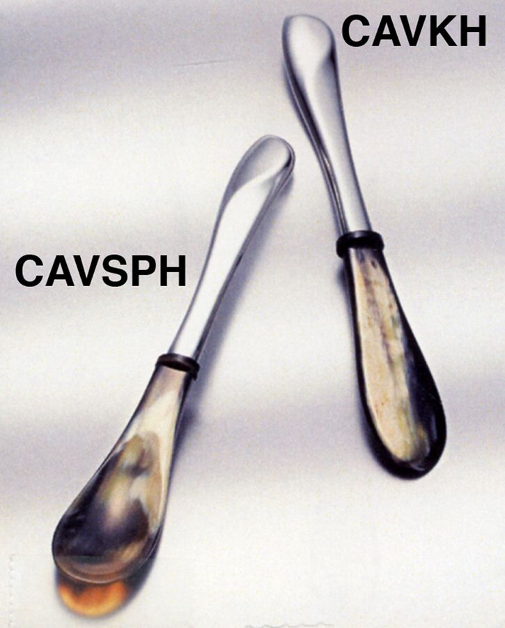 Hoffman (Sterling, 1902) Caviar Spoon with Sterling Handle and Horn Blade by Wiener Silberschmiede Werkstatte-1