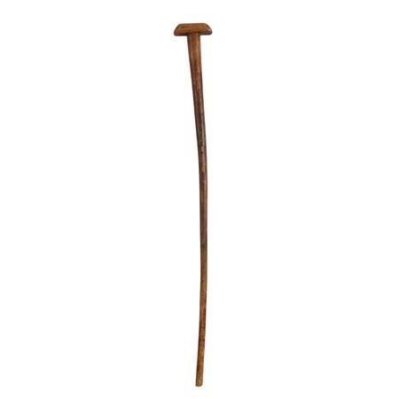 Antique Carved Wooden Walking Cane