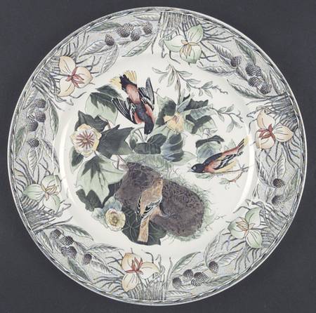 Birds of America (Floral Border) by Adams China