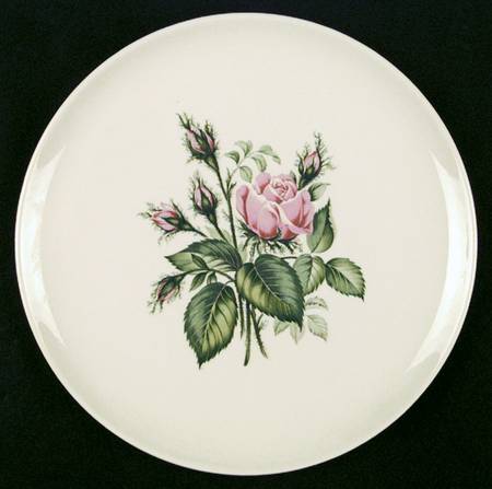 Floradora Rose by Ark Crest