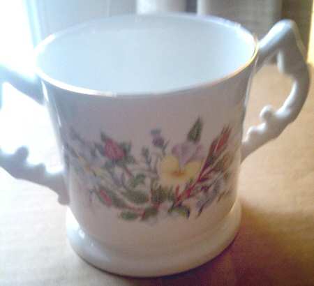 Wild Tudor 2 Handled Mug
