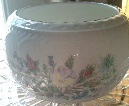 Wild Tudor 3" Rose Bowl