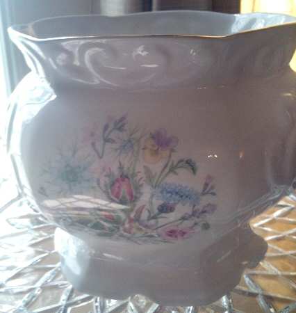 Wild Tudor 6" Jardiniere