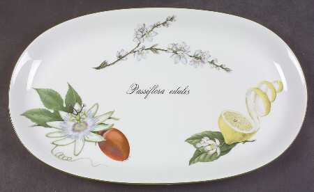 Elysian Gardens 14" Oval Serving Platter by Apilco