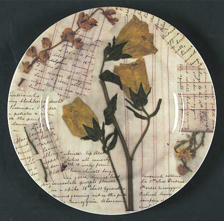 Collage Salad/Dessert Plate