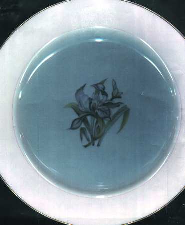 ALA17 Dinner Plate