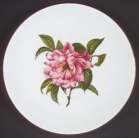 Chelsea Flowers by John  Aynsley &amp; Sons