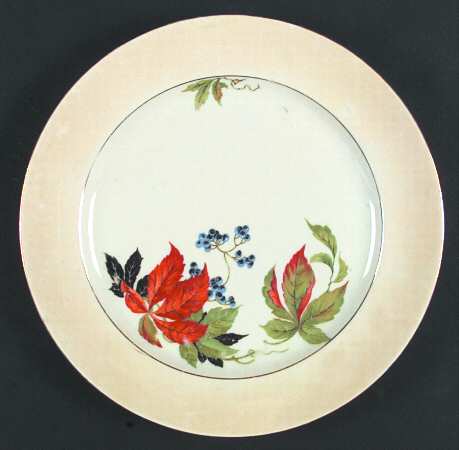 ACC7 Dinner Plate