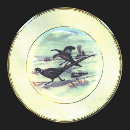 ABM2 Dinner Plate