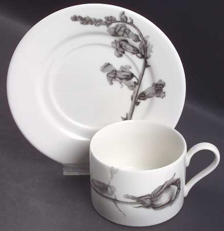 Botanica Flat Cup & Saucer Set