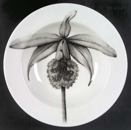 Botanica Large Rim Soup Bowl