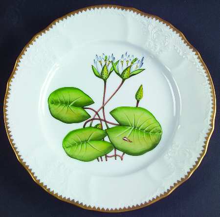 Waterlily Seascape Salad Plate