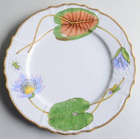 Waterlily Seascape by Anna Weatherley