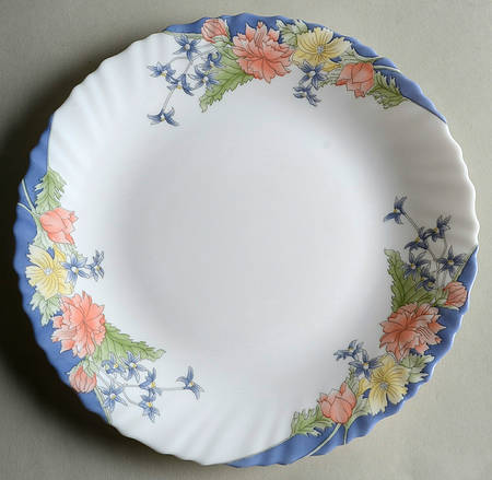 Florine Luncheon Plate by Arcopal