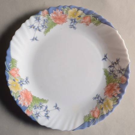 Florine Luncheon Plate by Arcopal
