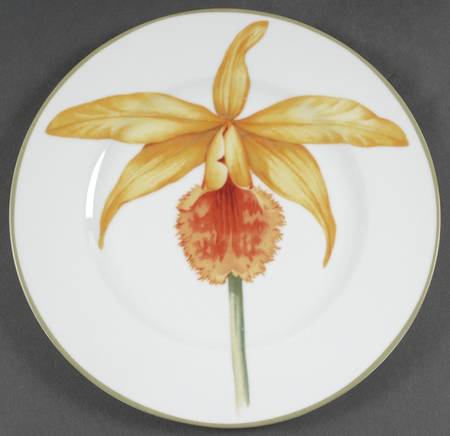 Bloom Dinner Plate by 222 Fifth (PTS)