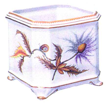 Thistle Medium Cachepot