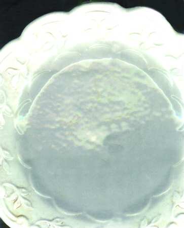 Aoc3 Dinner Plate