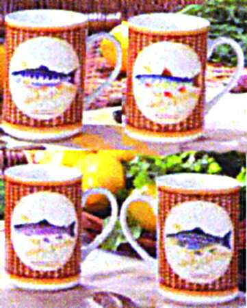 Rainbow River Mug