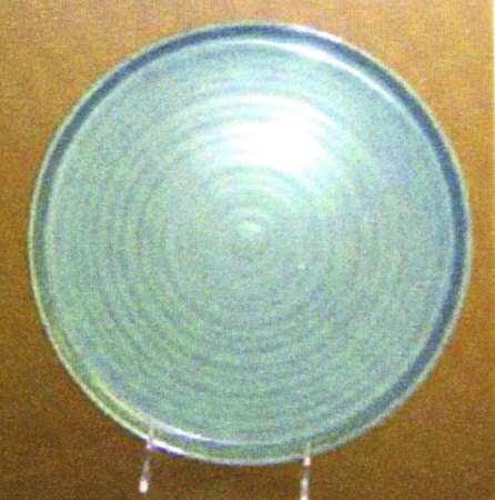 Synergy Green Salad Plate