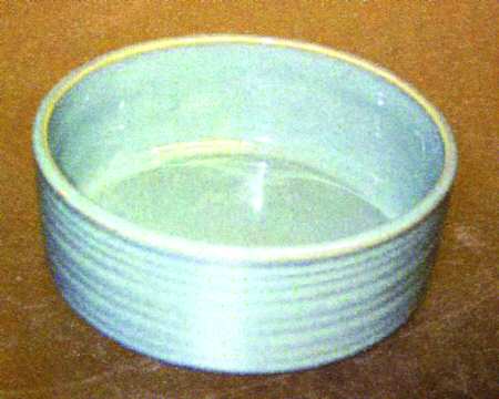 Synergy Green Coupe Soup Bowl