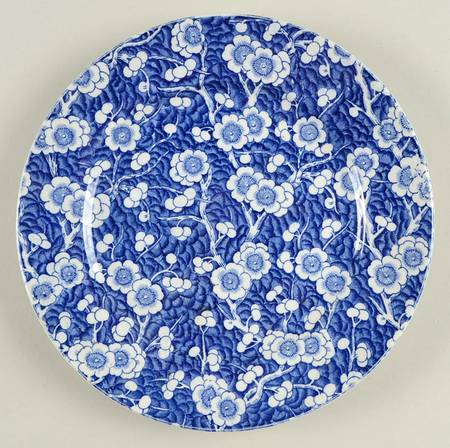 Prunus by Adams China