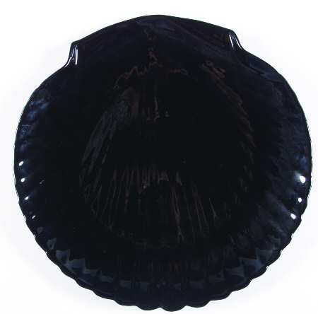 Coquillage Black by Arcopal