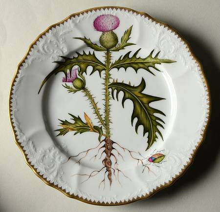Anna's Garden Salad Plate