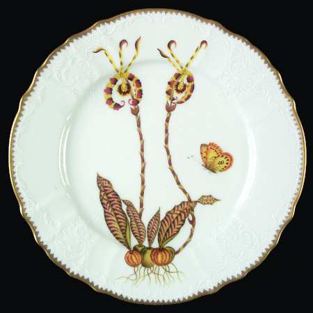 Orchid by Anna Weatherley