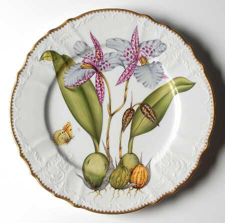 Orchid Dinner Plate