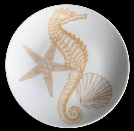 Coastal Life Gold (Yellow) Appetizer Plate