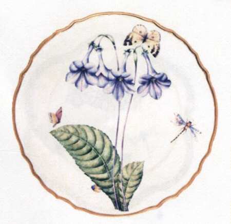 Botanical Studies Dinner Plate