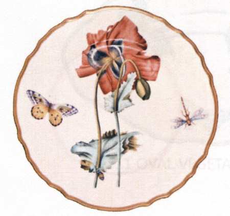 Botanical Studies Dinner Plate