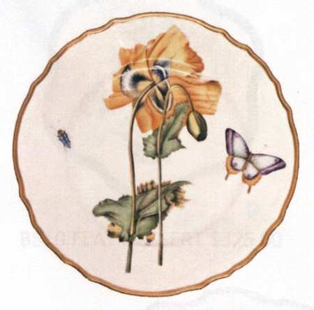 Botanical Studies Dinner Plate