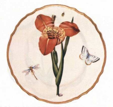 Botanical Studies Dinner Plate