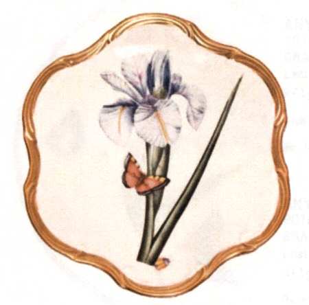 Botanical Studies Dessert/Pie Plate