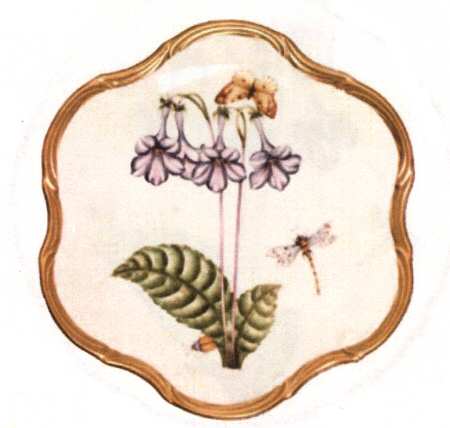 Botanical Studies Dessert/Pie Plate