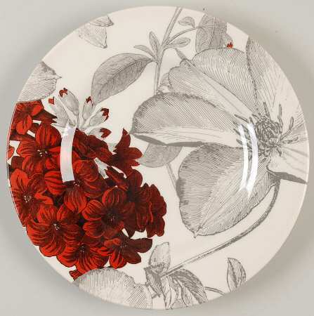 Clematis Red Salad Plate