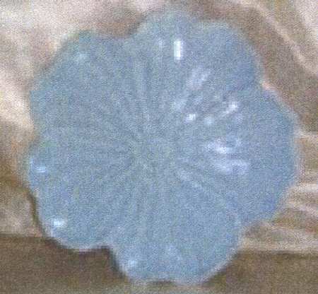 Petals Blue by American Atelier